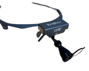 Title-2-e1591463368777-1024x822-1-300x241-removebg-preview